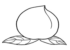 һֻ����Һ��P���DƬ